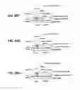 Fig. 55 - Scene documentation