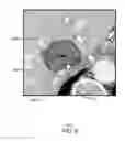 Fig. 08 - Real-time, interactive image analysis