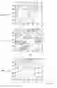 Fig. 07 - Vessel segmentation