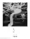 Fig. 12 - Vessel segmentation