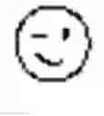 Fig. 03 - Customizable animations for text messages