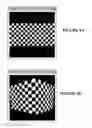 Fig. 06 - 3D-consistent 2D manipulation of images