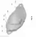 Fig. 19 - Notification appliance