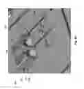 Fig. 28 - Notification appliance