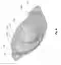 Fig. 19 - Optic for a strobe notification appliance