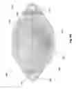 Fig. 17 - Strobe notification appliance