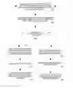 Fig. 01 - Targeted repetition and targeted reinforcement in a language learning system