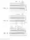 Fig. 24 - Label sheet assembly and method of making the same