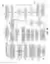 Fig. 09 - Generating music from image pixels