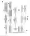 Fig. 10 - Generating music from image pixels