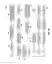 Fig. 17 - Generating music from image pixels
