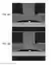 Fig. 05 - Devices including a gas barrier layer