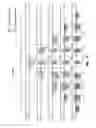 Fig. 17 - Editing of higher-order ambisonic audio data