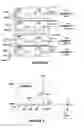 Fig. 06 - DYNAMIC RANDOM ACCESS MEMORY AND BOOSTED VOLTAGE PRODUCER THEREFOR