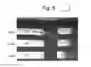 Fig. 08 - Bias to detect and prevent short circuits in three-dimensional memory device