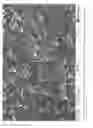 Fig. 03 - Chemical process for primary system material passivation during hot functional testing of nuclear power plants