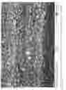 Fig. 04 - Chemical process for primary system material passivation during hot functional testing of nuclear power plants