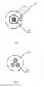 Fig. 05 - THE METHOD OF PRODUCING SELF-ROLLING ELONGATE ELEMENT, IN PARTICULAR AN ELECTRIC CABLE AND SELF-ROLLING ELONGATE ELEMENT, IN PARTICULAR AN ELECTRIC CABLE