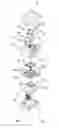 Fig. 01 - Single actuator control switch
