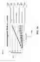 Fig. 15 - Helmholtz coil assisted PECVD carbon source