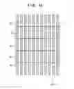 Fig. 10 - Pattern formation method that includes partially removing line and space pattern