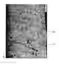 Fig. 14 - Semiconductor device and manufacturing method of semiconductor device