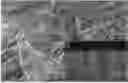Fig. 01 - Ultra-long silicon nanostructures, and methods of forming and transferring the same