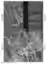 Fig. 06 - Ultra-long silicon nanostructures, and methods of forming and transferring the same