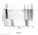 Fig. 11 - Doped metal germanide and methods for making the same