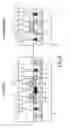 Fig. 07 - Junction FET semiconductor device with dummy mask structures for improved dimension control and method for forming the same