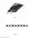 Fig. 02 - Thermoelectric device