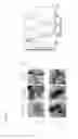 Fig. 08 - ACTIVE LAYER-INCORPORATED, SPECTRALLY-TUNED NANOSTRUCTURE-BASED LIGHT TRAPPING FOR ORGANIC PHOTOVOLTAIC DEVICES