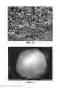 Fig. 09 - High-density precursor for manufacture of composite metal oxide cathodes for Li-ion batteries
