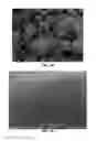 Fig. 10 - High-density precursor for manufacture of composite metal oxide cathodes for Li-ion batteries