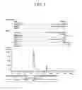 Fig. 04 - Binder composition for rechargeable lithium battery, method of preparing same, electrode for rechargeable lithium battery and rechargeable lithium battery including same