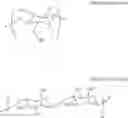 Fig. 16 - Binder composition for rechargeable lithium battery, method of preparing same, electrode for rechargeable lithium battery and rechargeable lithium battery including same
