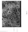 Fig. 07 - Method of depositing nanoscale materials within a nanofiber network and networked nanofibers with coating
