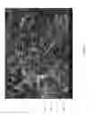 Fig. 08 - Method of depositing nanoscale materials within a nanofiber network and networked nanofibers with coating