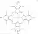 Fig. 23 - Metal phthalocyanine polymer and electrode catalyst produced using the same, and producing methods thereof