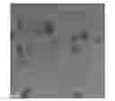Fig. 01 - Bi-metallic nanoparticles as cathode electrocatalysts