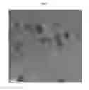 Fig. 02 - Bi-metallic nanoparticles as cathode electrocatalysts