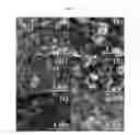 Fig. 06 - Bi-metallic nanoparticles as cathode electrocatalysts