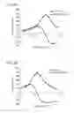 Fig. 03 - ELECTROMAGNETIC WAVE DETECTION/GENERATION DEVICE AND METHOD FOR MANUFACTURING SAME