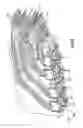 Fig. 15 - High density connector