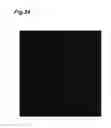 Fig. 25 - Laser element and laser device
