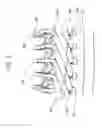 Fig. 06 - Coil, rotating electrical machine equipped with same, and method for manufacturing same