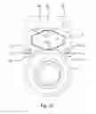 Fig. 10 - Assembly for an ultrasonic motor