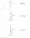 Fig. 07 - Fine-grained power gating in FPGA interconnects