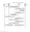 Fig. 62 - Mobile communication system, different mobile devices sharing same phone number on mobile communication system, and method of providing mobile communication service between different mobile devices sharing same phone number
