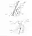 Fig. 13 - Apparatus to assist a user with holding a mobile device